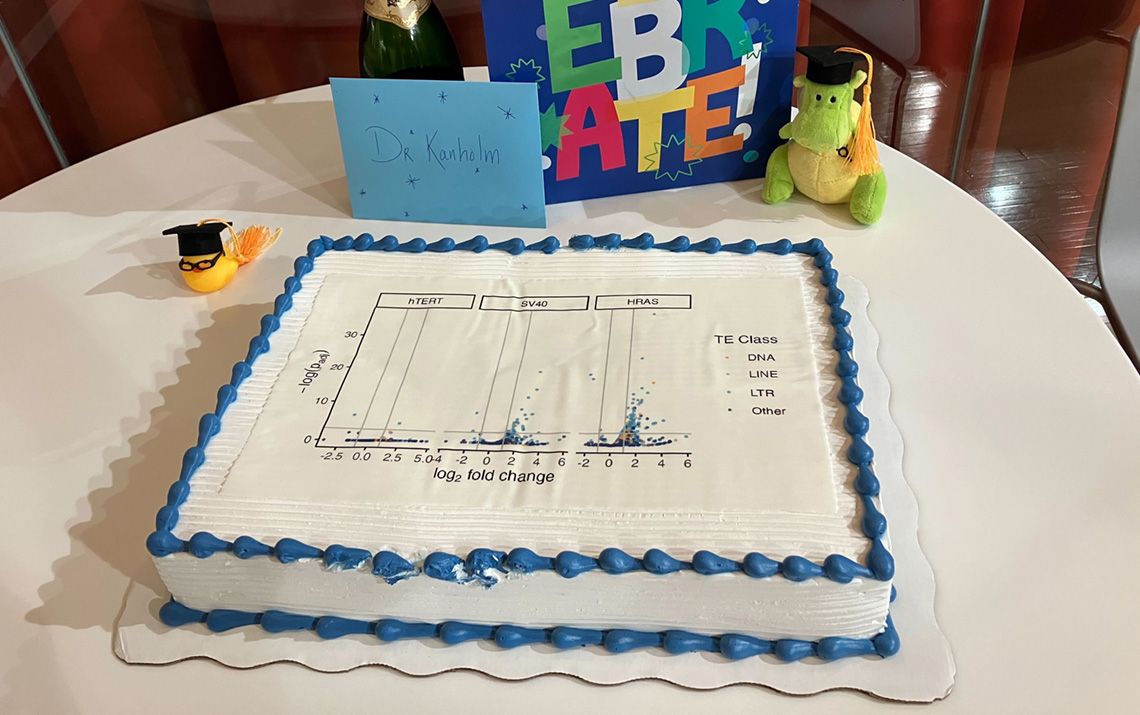 Tomas Defense Cake